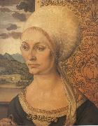 Albrecht Durer Elsbeth Tucher china oil painting artist